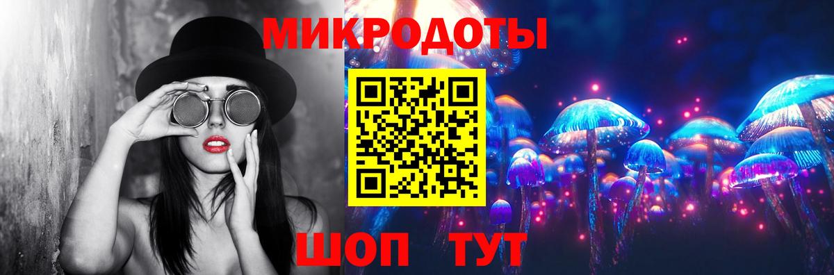где можно купить   Вход с VPN  Ставрополь  Галлюциногенные грибы Psilocybe 